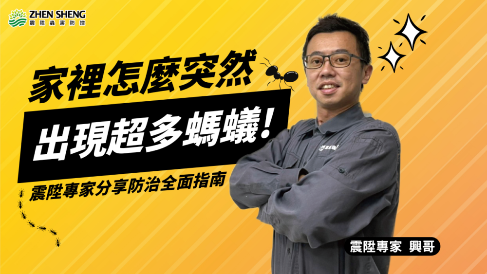 Read more about the article 【震陞除蟲公司】家中的螞蟻總是除不完？專家分享消滅螞蟻的方法